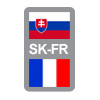 Slovensko – Francúzsko 2009